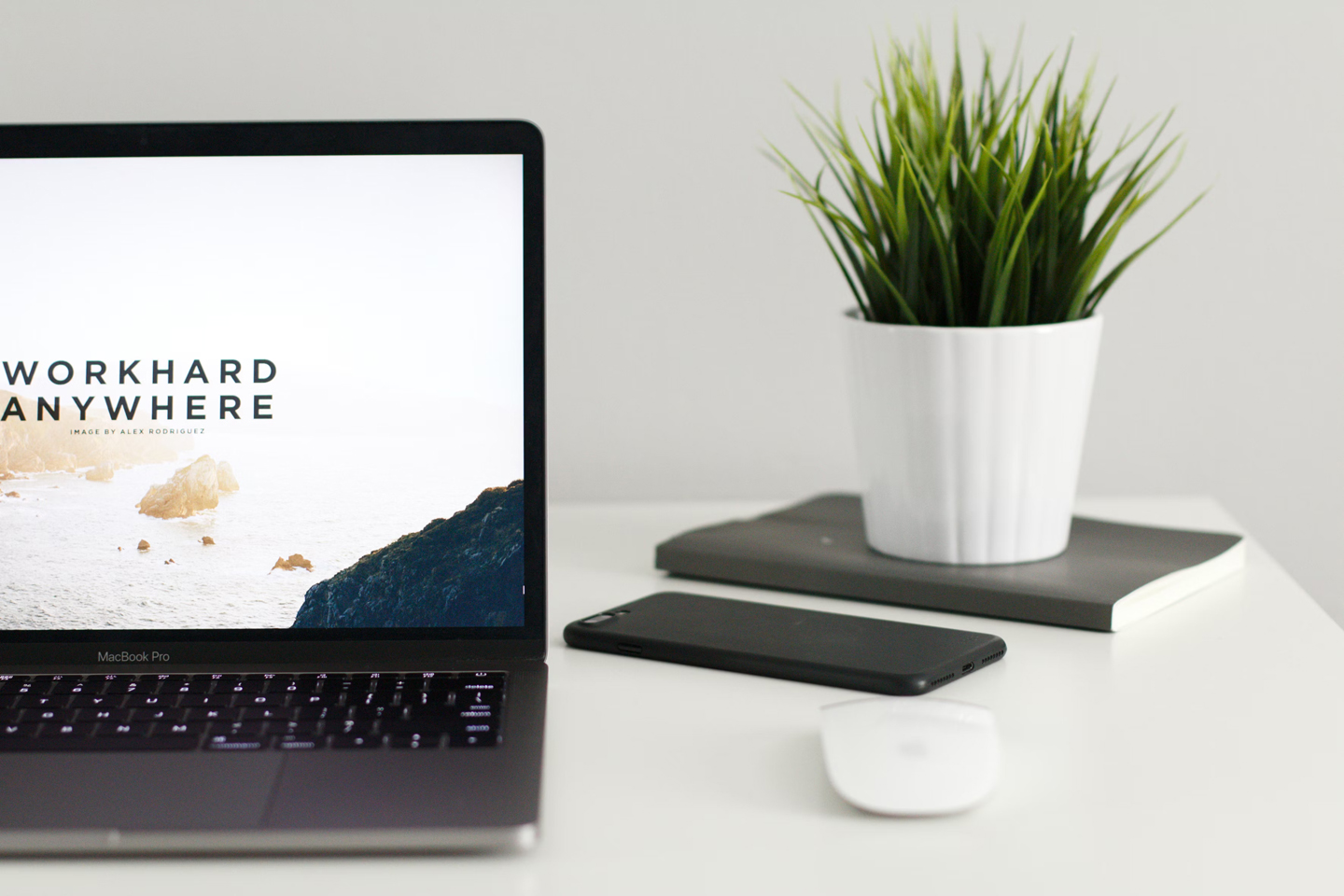 Developing soft and hard skills in a career: What to look out for?
